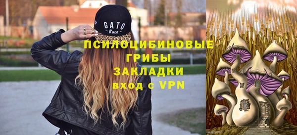 марки lsd Бородино